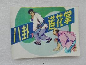 八卦莲花掌 下载,探寻古老武术的奥秘与魅力