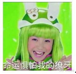 舞法天女暴走表情包